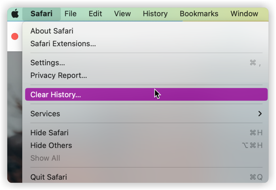 safari_clear_hist_2x.png