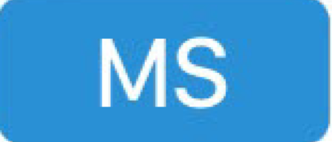 MS_icon.png
