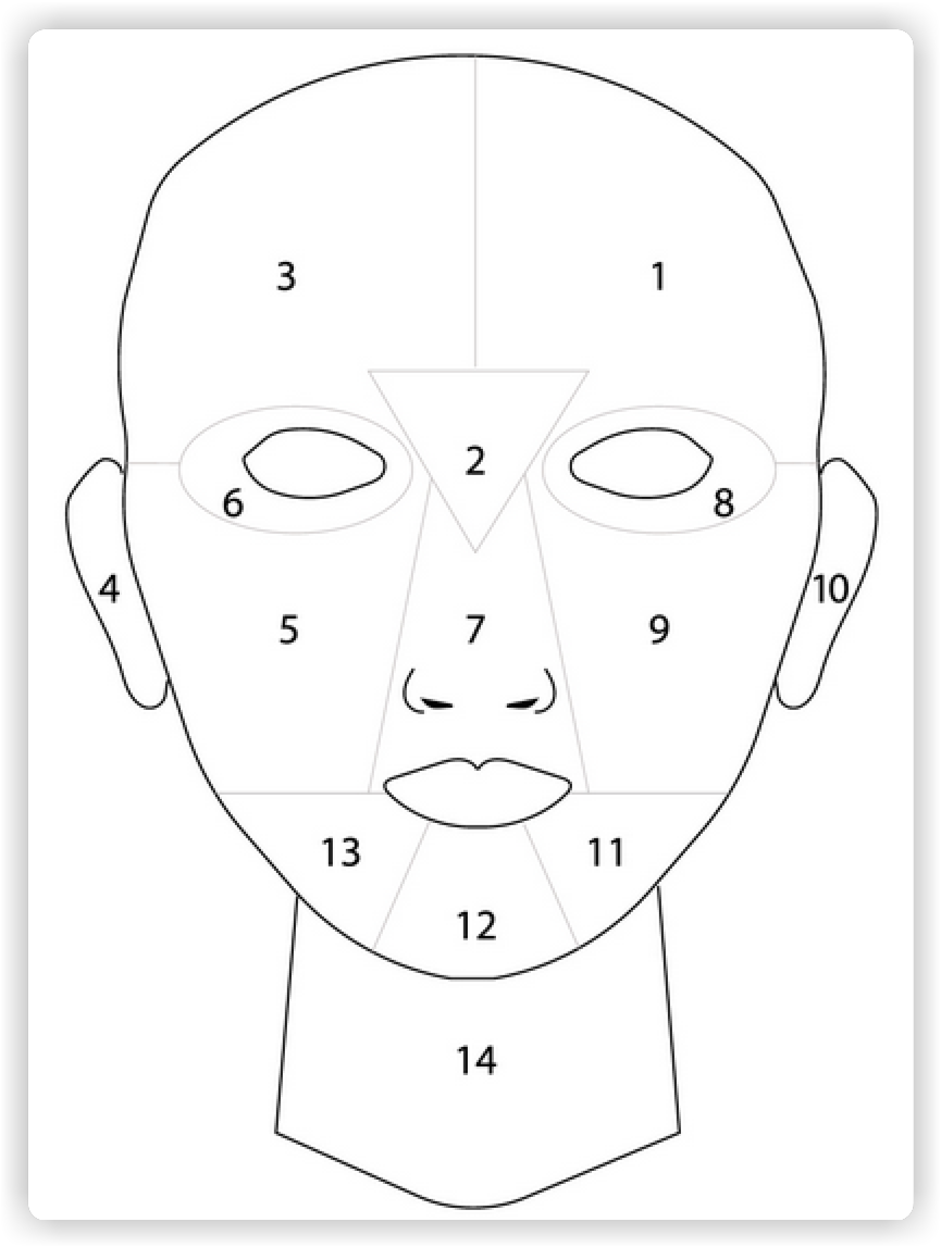 face_template_2x.png