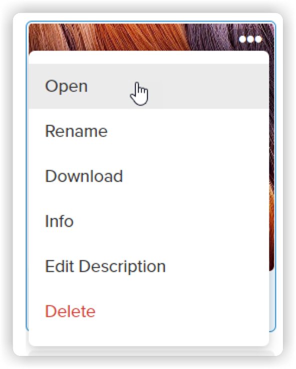 web_files_action_menu2_2x.png