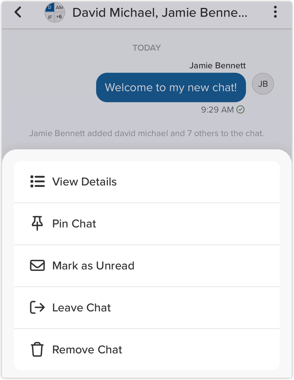 leave_chat_vpro_2x.png