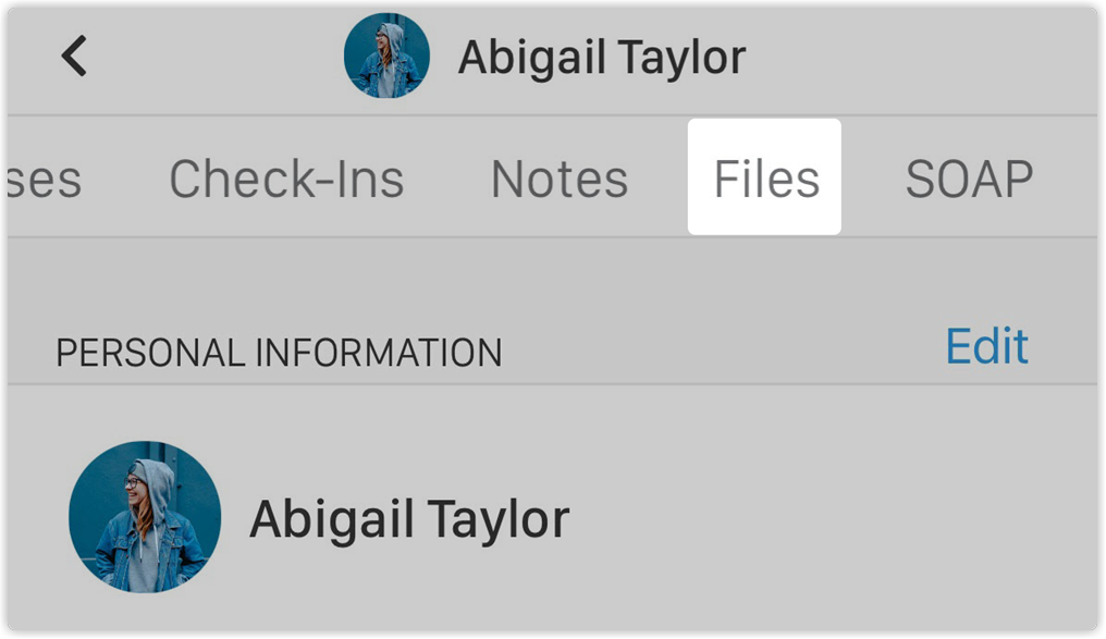 files_tab_vpro_2x.png