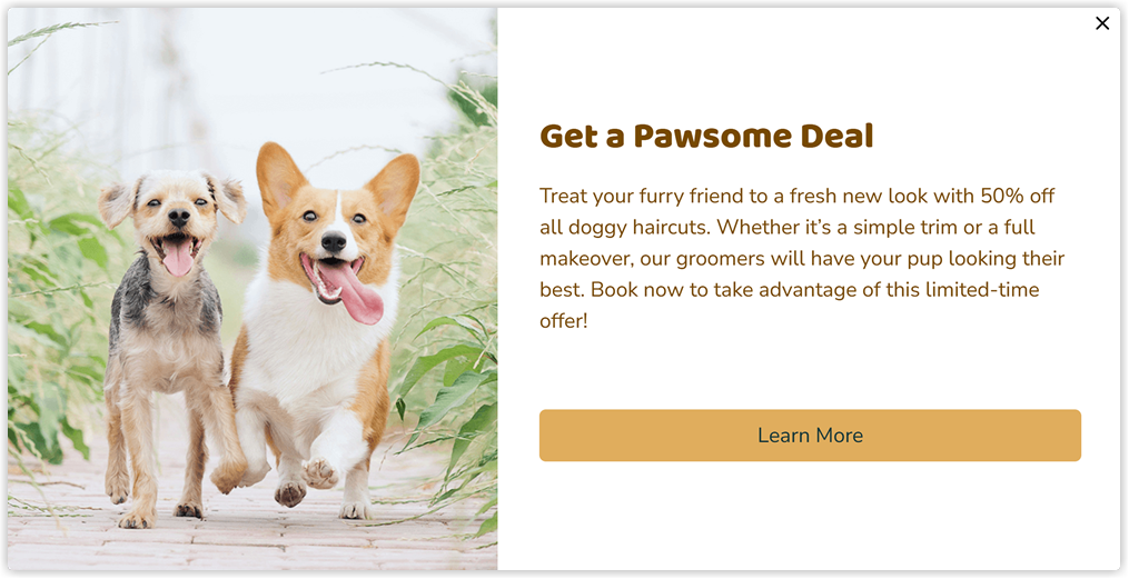 horizontal_popup_web_2x.png