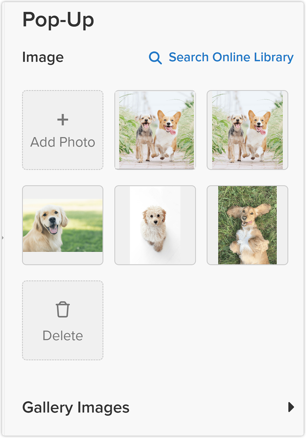 popup_image_web_2x.png