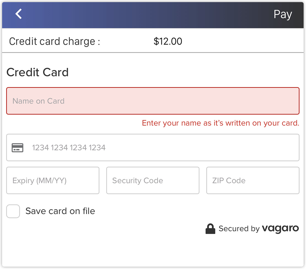 enter_card_checkout_vpro_2x.png