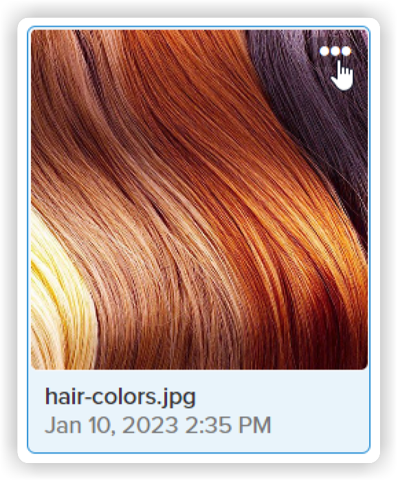 web_files_action_menu1_2x.png