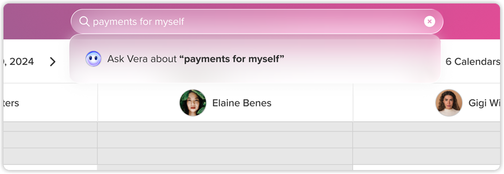 chat_with_vera_search_web_2x.png