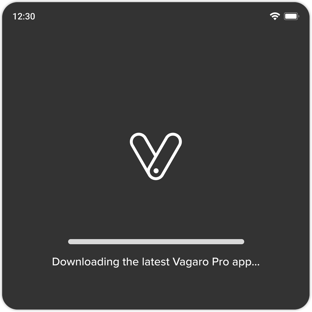 downloading_update_paypro_2x.png