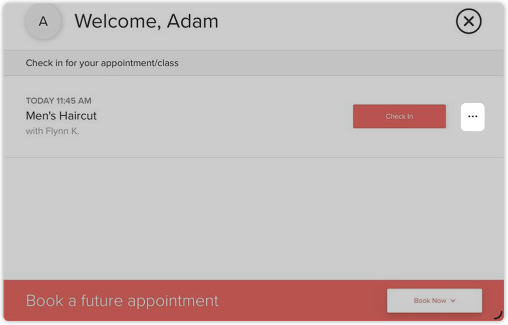 action_button_checkinapp_2x.png
