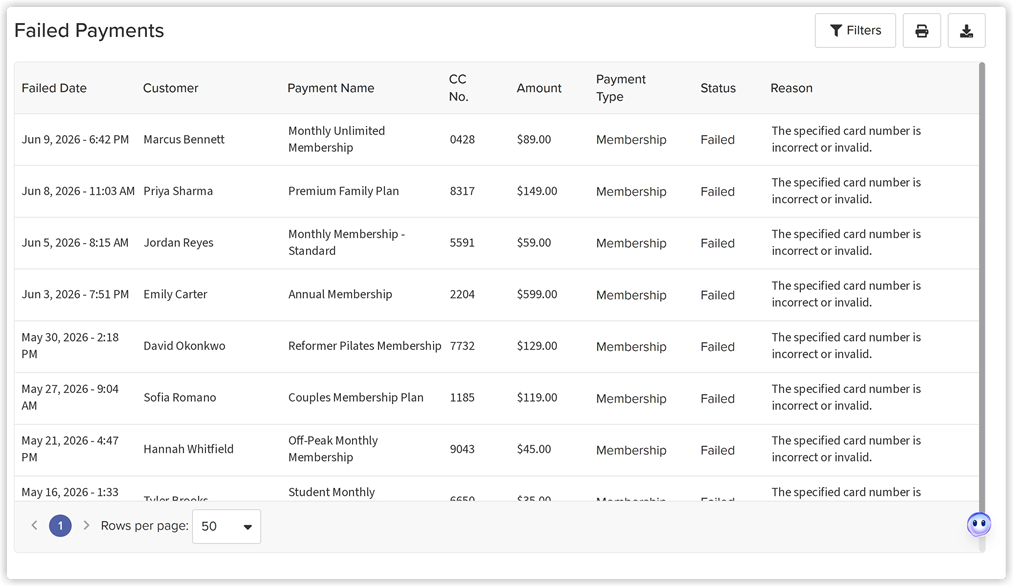 failed_payments_report.png