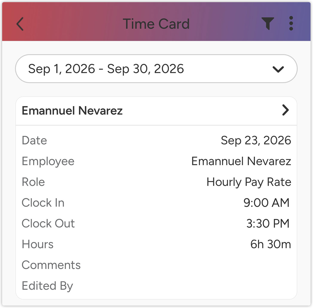 time_card_report_vpro_2x.png